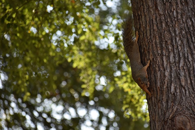 jiuyou游戏中心：经纪人：鲁加尼仍属于尤文，还不清楚下赛季的情况.