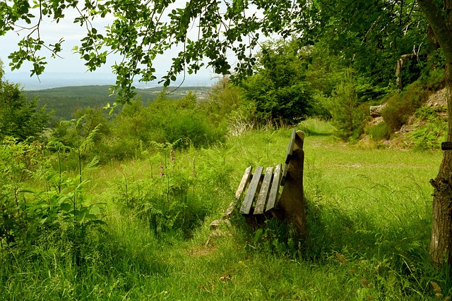 主优化词：米德尔斯堡主场坚若磐石，豪取四连胜