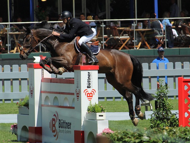 主优化词-湖北队力挫强敌赢得信心